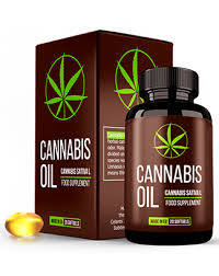 Cannabis Oil